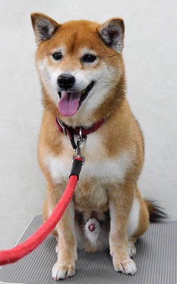 大井ジュンちゃん