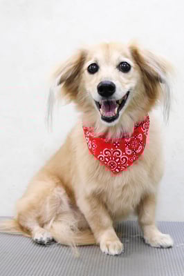 江口エルちゃん