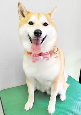 小村ゆずちゃん