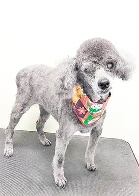 中村れんちゃん