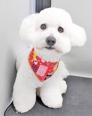 川西ズン太ちゃん