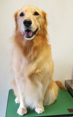 菊川チェリーちゃん