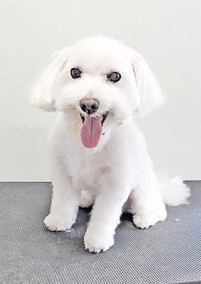 山口ふうたちゃん