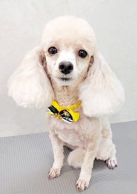 新留モコちゃん