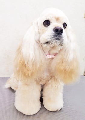 福富ベリーちゃん