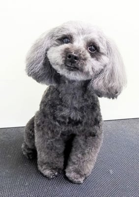 森崎ラブちゃん