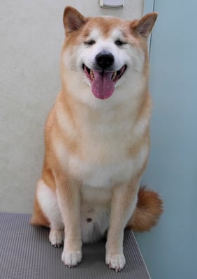 竹崎クウちゃん