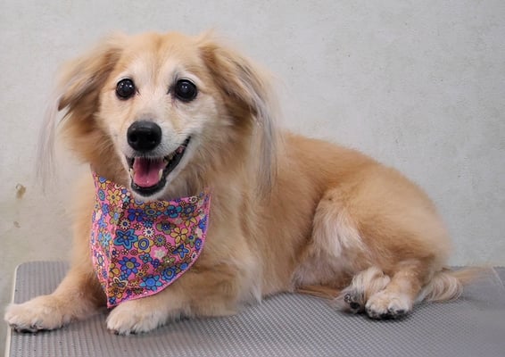 江口エルちゃん