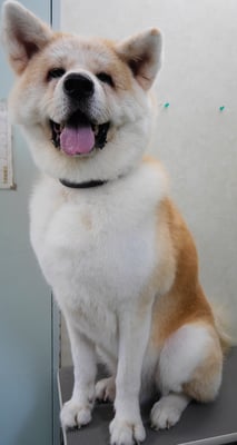 池川ソラちゃん