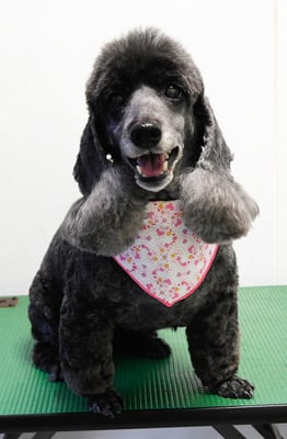 梶原リヴちゃん