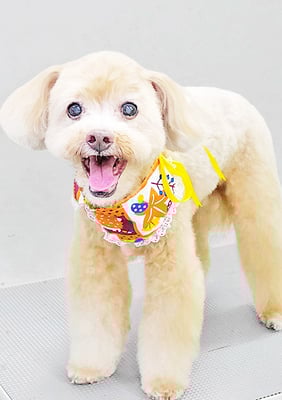 堀内まりもちゃん