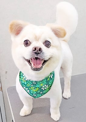 中囿モカちゃん