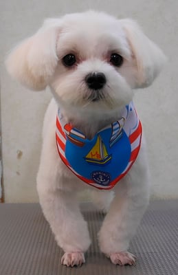 田之上のんちゃん