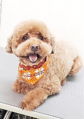 山元風介ちゃん