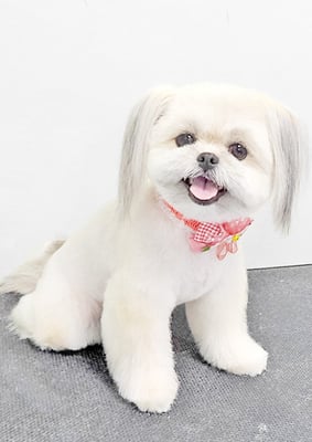 太崎ちゅらちゃん