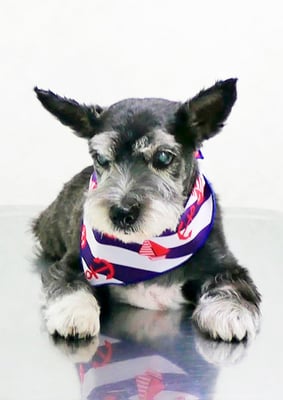 蔵薗ヒメちゃん