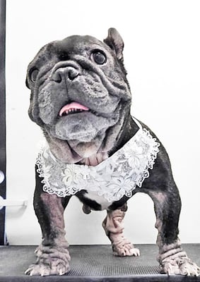 岸下すももちゃん