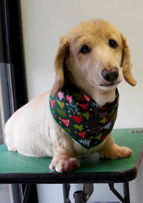 馬場リクちゃん