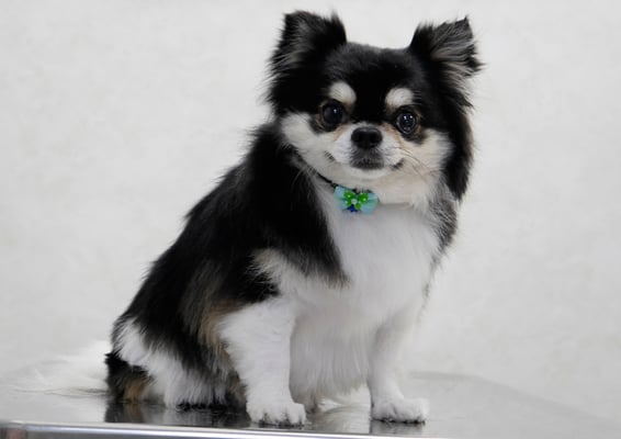 濱本シュウちゃん