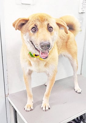 水口ラッキーちゃん