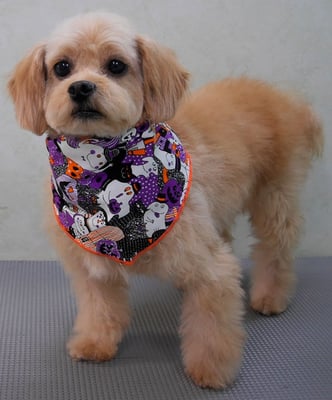 大脇芽生ちゃん