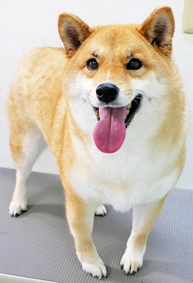 森崎アズキちゃん