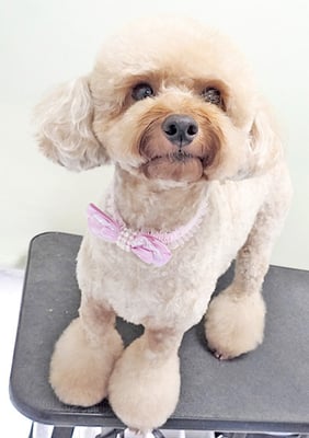 玉利ココちゃん