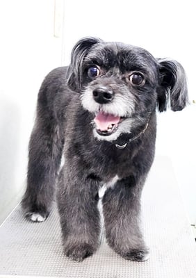 濵田リヨンちゃん