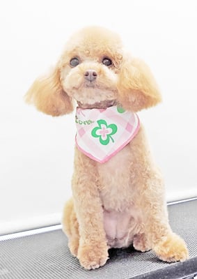 岩元ナノちゃん