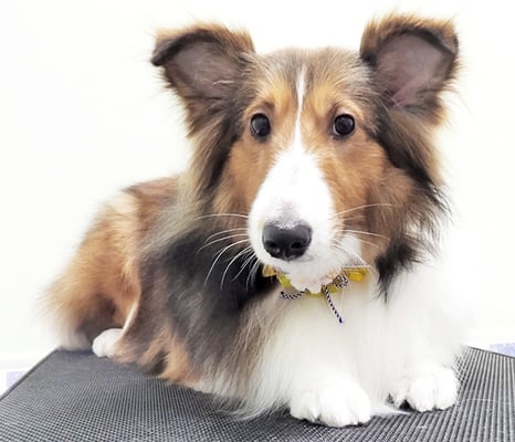 國生レイラちゃん