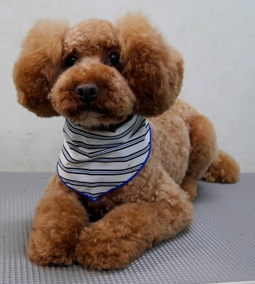 山元風介ちゃん