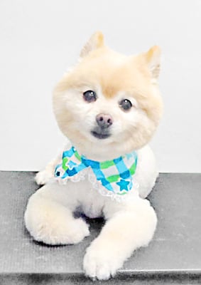 徳留クマちゃん