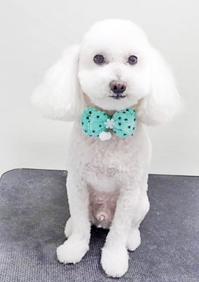 嶽本ムムちゃん