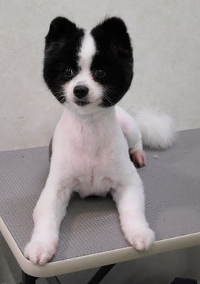 森崎マリアンちゃん