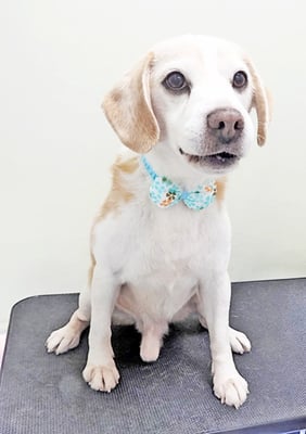 松木タロウちゃん