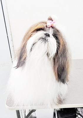 眞邉ももちゃん