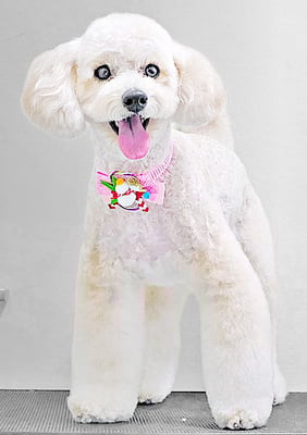 長谷ラナちゃん