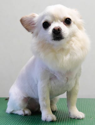 森崎ヒメちゃん