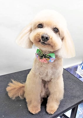 金谷ムサシちゃん