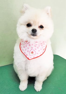 坂口ヘルスちゃん