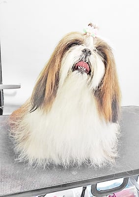 眞邉モモちゃん