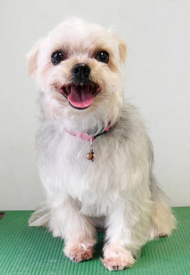 岡元ベリーちゃん