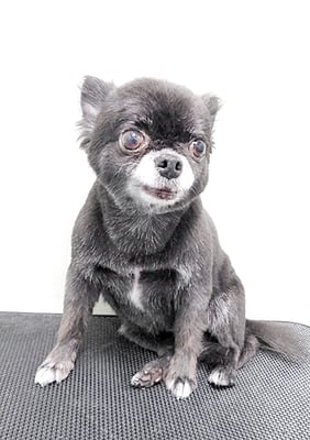 森崎シロちゃん