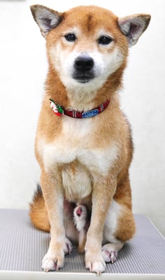 大井ジュンちゃん