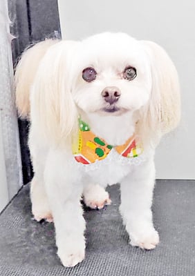 大脇ココアちゃん