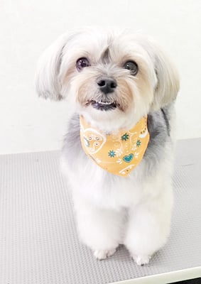 有馬まりんちゃん