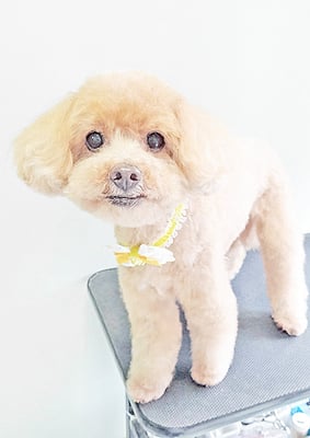 堀内まりもちゃん