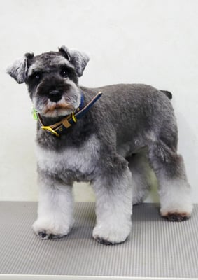 古閑ランちゃん