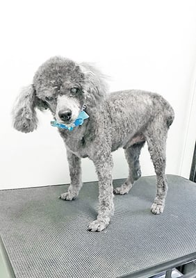 中村れんちゃん