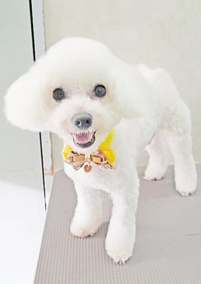 宮坂ユンちゃん